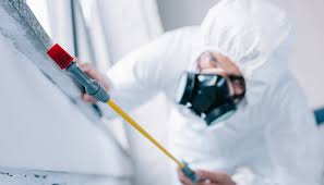 Real Estate Pest Inspections in Hudson, MI